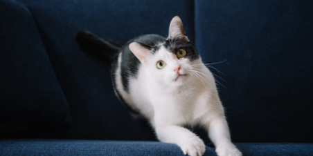 �῵���H��